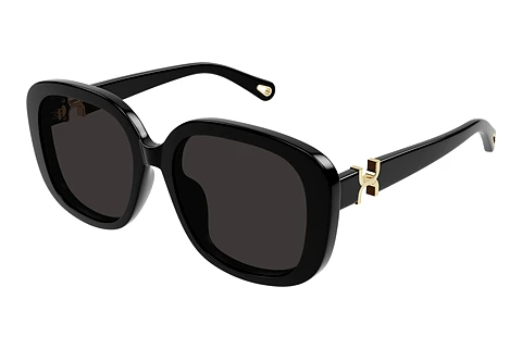 Sunglasses Chloé CH0303SK 001