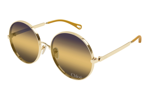 Sunglasses Chloé CH0321S 001