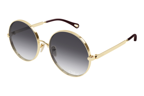 Sunglasses Chloé CH0321S 005