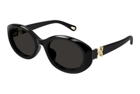 Sunglasses Chloé CH0323SK 001