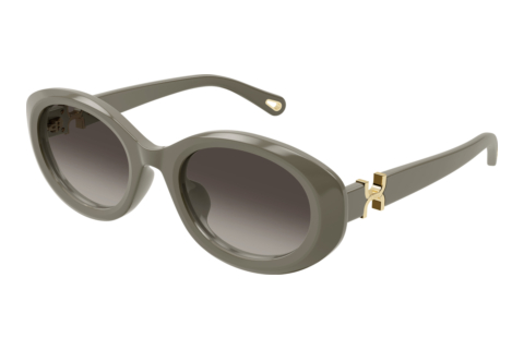 Sunglasses Chloé CH0323SK 003