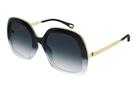 Sunglasses Chloé CH0327S 005