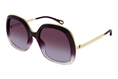 Sunglasses Chloé CH0327S 007