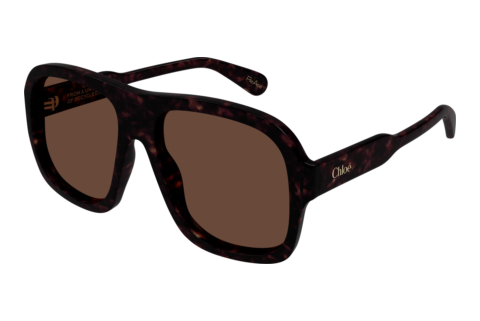 Sunglasses Chloé CH0331S 002