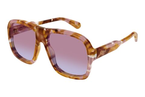Sunglasses Chloé CH0331S 003