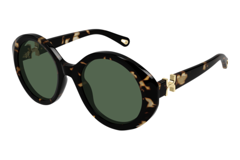 Sunglasses Chloé CH0332S 002