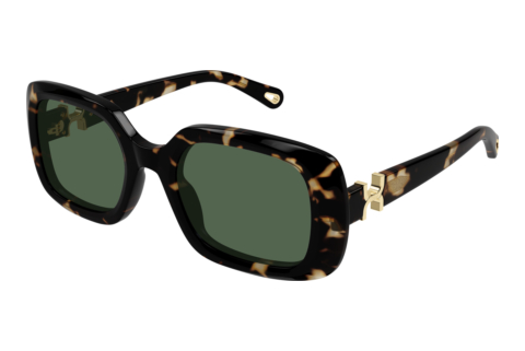 Sunglasses Chloé CH0333S 002