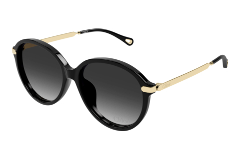 Sunglasses Chloé CH0358SK 001