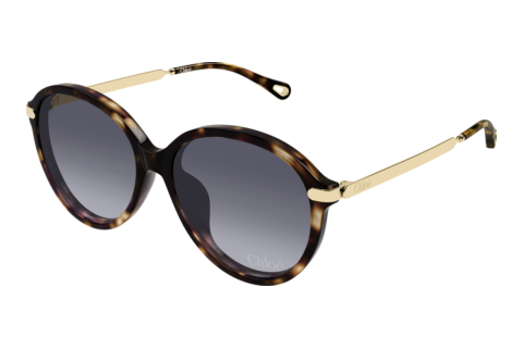 Sunglasses Chloé CH0358SK 002