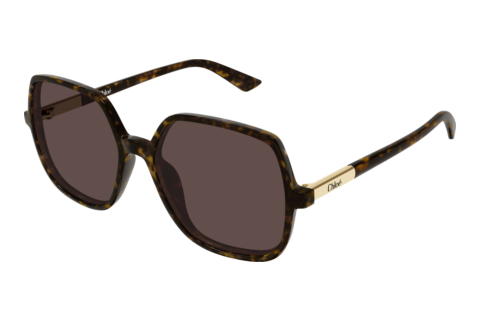 Sunglasses Chloé CH0362S 002