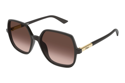 Sunglasses Chloé CH0362S 003