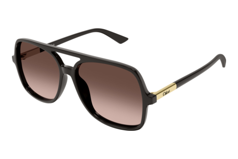 Sunglasses Chloé CH0364S 004