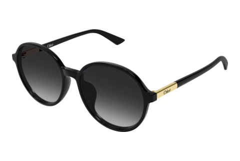 Sunglasses Chloé CH0365SK 001