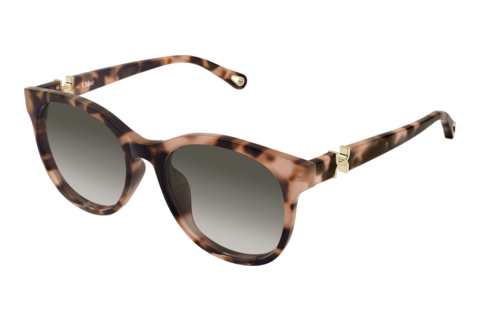 Sunglasses Chloé CH0375SK 002