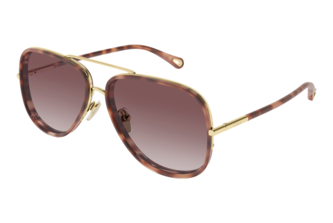 Sunglasses Chloé CH0382S 004
