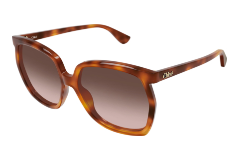 Sunglasses Chloé CH0389S 002