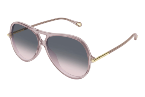 Sunglasses Chloé CH0395S 005