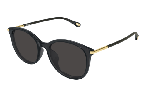 Sunglasses Chloé CH0397SK 001