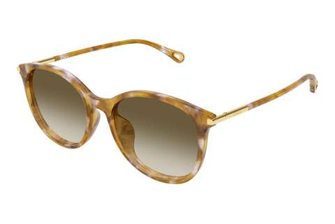 Sunglasses Chloé CH0397SK 003