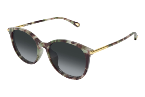 Sunglasses Chloé CH0397SK 004