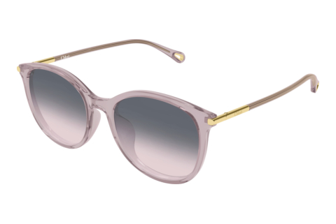 Sunglasses Chloé CH0397SK 005