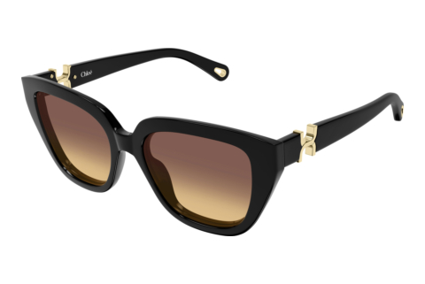 Sunglasses Chloé CH0410S 001