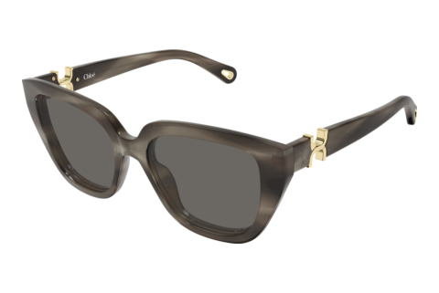 Sunglasses Chloé CH0410S 002