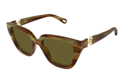 Sunglasses Chloé CH0410S 004
