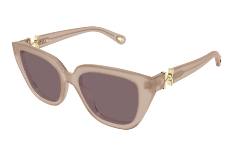 Sunglasses Chloé CH0410S 005