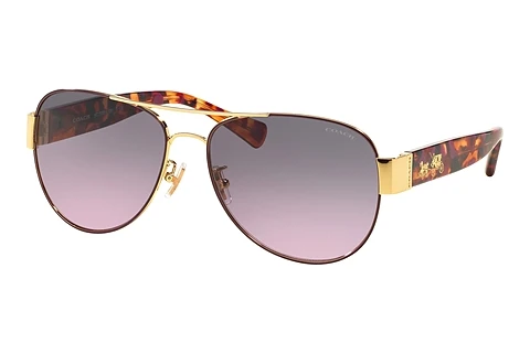 Sunglasses Coach L138 (HC7059 924890)