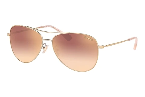 Sunglasses Coach L1013 (HC7079 90056F)