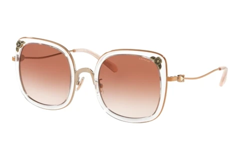 Sunglasses Coach L1081 (HC7101B 933113)