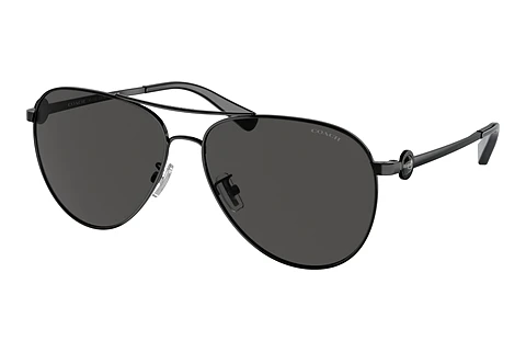Sunglasses Coach C6178 (HC7128 934487)
