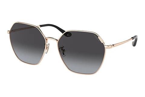 Sunglasses Coach C7998 (HC7132 93318G)