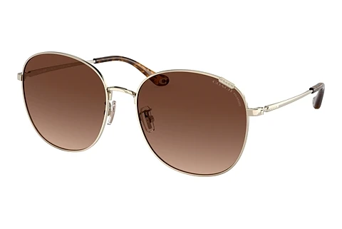 Sunglasses Coach C7996 (HC7134 9005T5)
