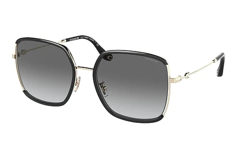 Sunglasses Coach C8000 (HC7139BD 934611)