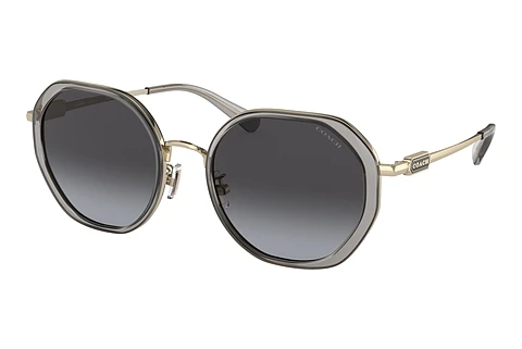 Sunglasses Coach CD477 (HC7141 90058G)