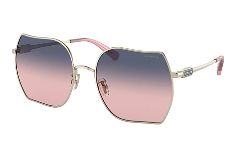 Sunglasses Coach CD476 (HC7142 90050J)