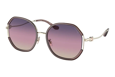 Sunglasses Coach CD452 (HC7144BD 9413U6)