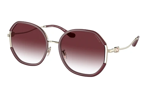 Sunglasses Coach CD452 (HC7144BD 94158H)