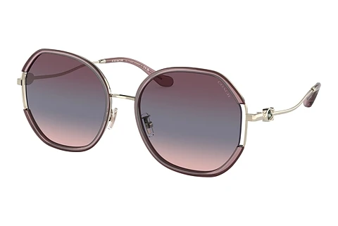 Sunglasses Coach CD452 (HC7144BD 94160J)