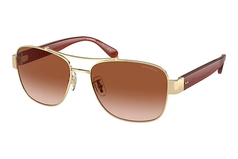 Sunglasses Coach CR617 (HC7161 900513)