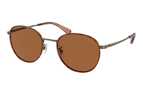 Sunglasses Coach CR631 (HC7163 933373)