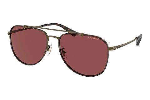 Sunglasses Coach CR626 (HC7164 933375)