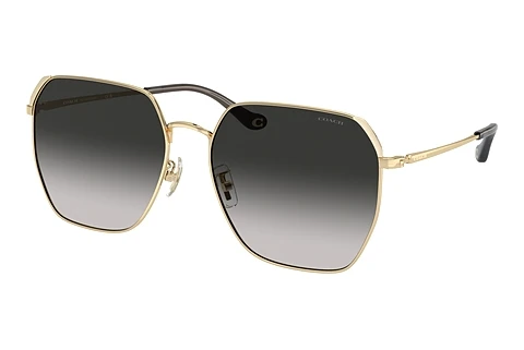 Sunglasses Coach CR638 (HC7165D 90053C)