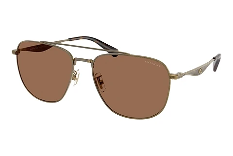 Sunglasses Coach CW404 (HC7172 933373)