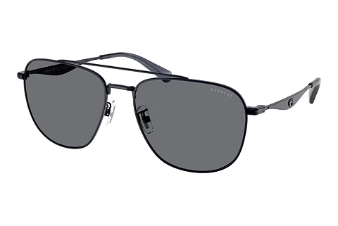 Sunglasses Coach CW404 (HC7172 945887)