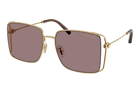 Sunglasses Coach CW429 (HC7174D 94417N)