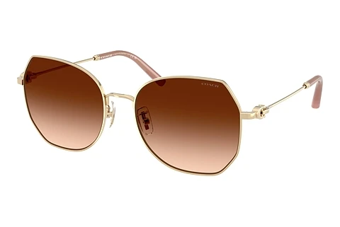 Sunglasses Coach CAD79 (HC7175 900574)