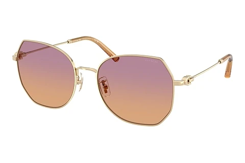 Sunglasses Coach CAD79 (HC7175 900578)
